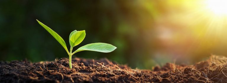 Is print sustainable?