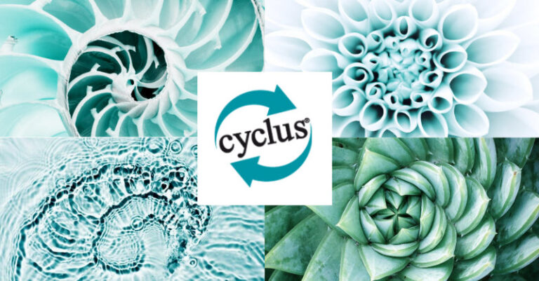 Cyclus Offset
