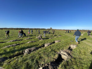 Young Peoples Forest