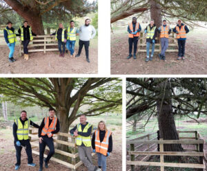Antalis team take part in team building event for Earth Day