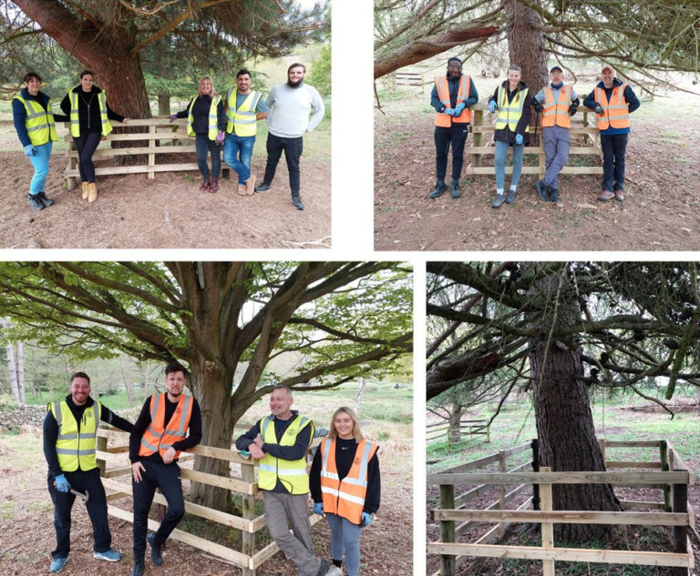 Antalis team take part in team building event for Earth Day