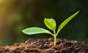 Konica Minolta included in the FTSE4Good Index Series for 19 consecutive years and named to all ESG Indexes by the GPIF for six consecutive years
