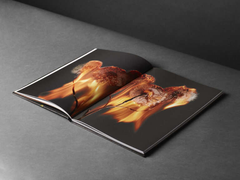 An Exploding World by Rankin_printed with Fedrigoni Paper_designed by SEA
