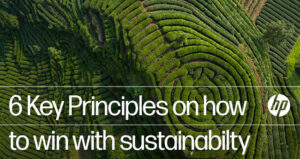 6 Key Principles on how to win with sustainability