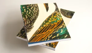 Curious Metallics poetry cover