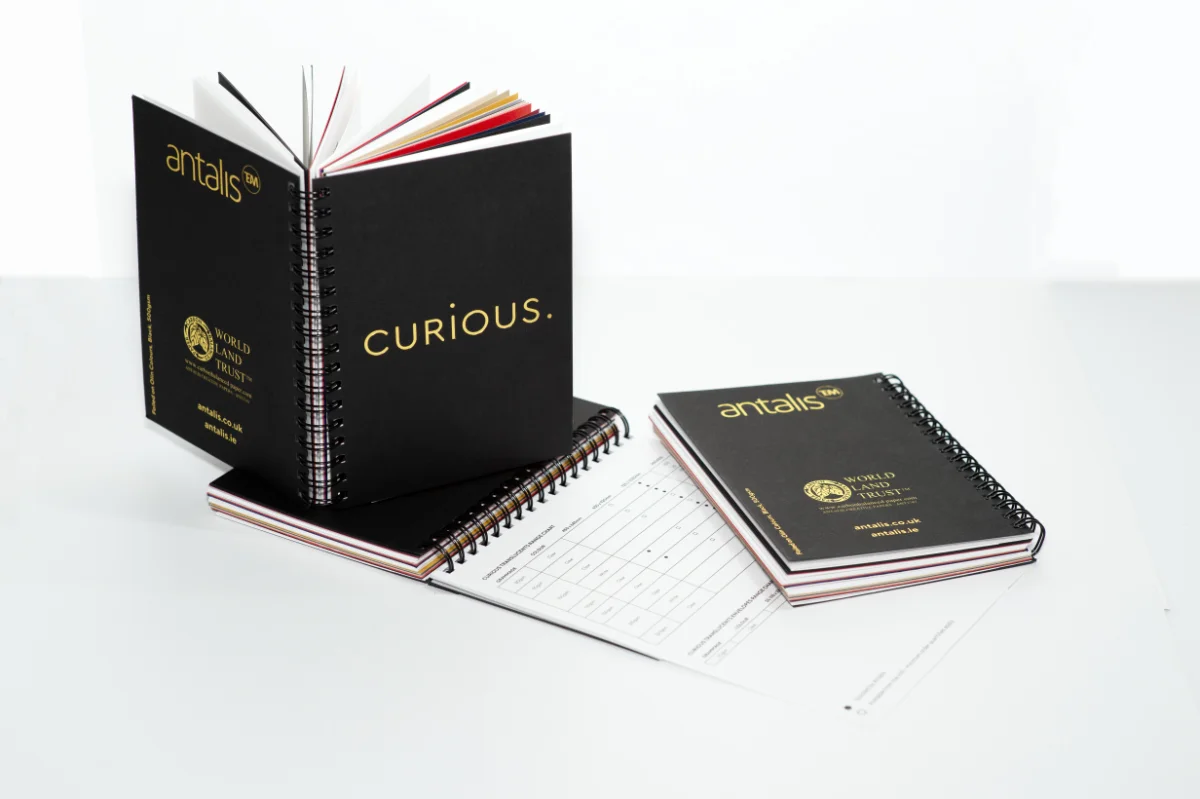 Curious Swatch