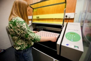 bespoke laser LEF