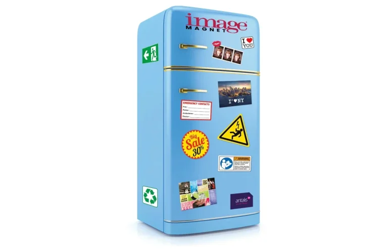 IMAGE MAGNET FREEZER