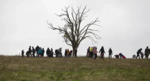 The Woodland Trust