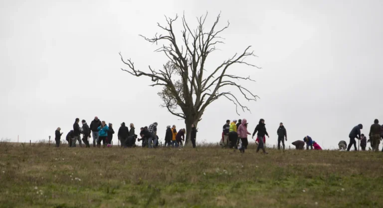 The Woodland Trust