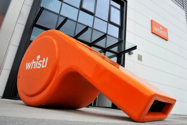eco conscious shoppers buy 66% more online, new whistl research reveals