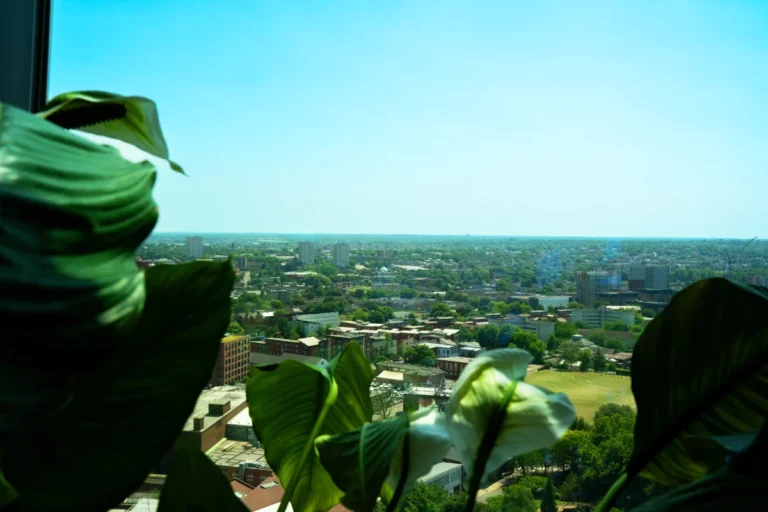 room with a view 3
