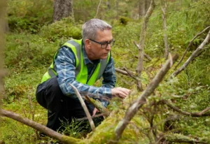 why nature could be the print industry’s next competitive advantage
