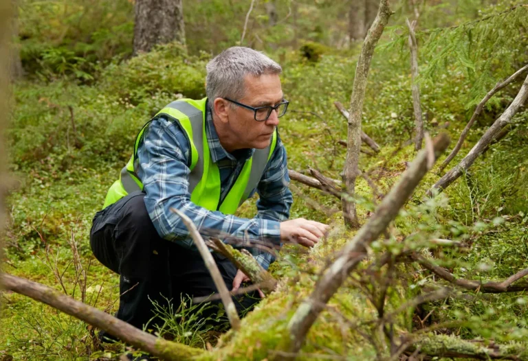 why nature could be the print industry’s next competitive advantage